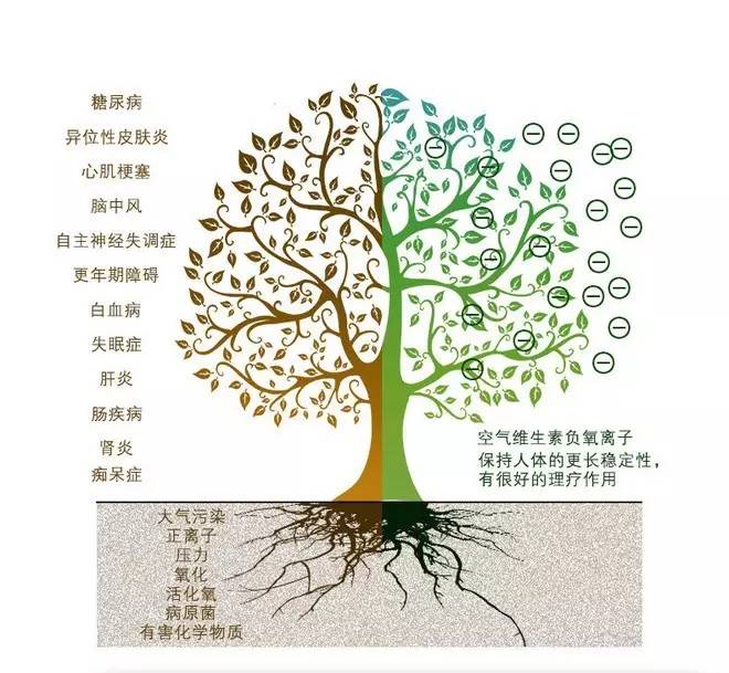 看了這個，你還會一直呆在空調房么？